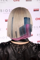 Roza_Vetrov_2015_131